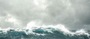 Wildsea
