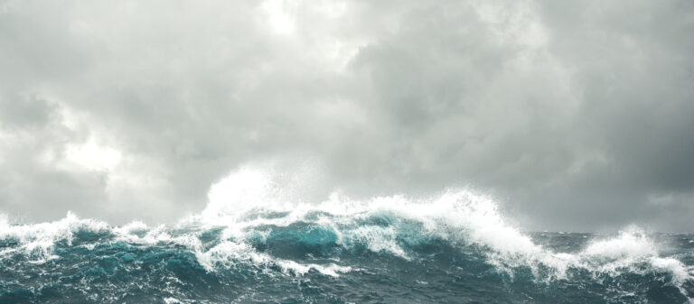 Wildsea