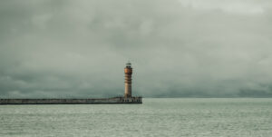Wildsea