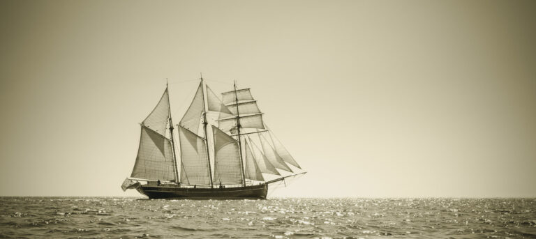 Dutchman Hoofbeeld